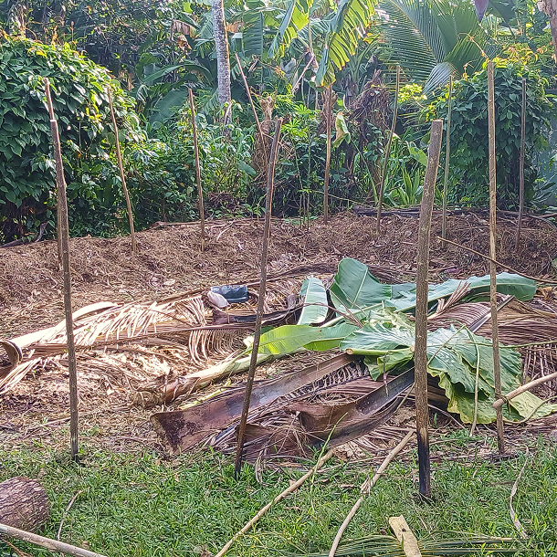 Environmental work